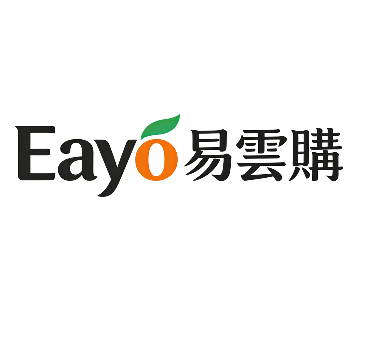 Eayo易雲購